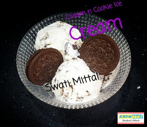 Online Course in Delhi For Ice Cream Making Video Course (Pre-recorded) in Hindi
